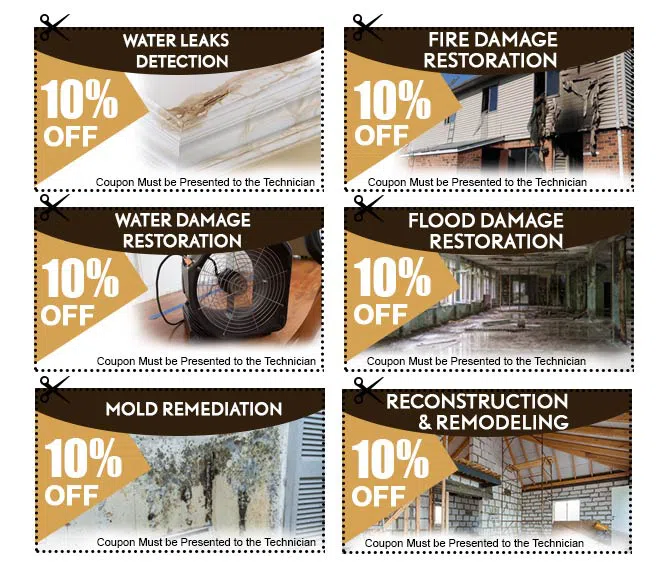 Miami Beach Restoration Expert Miami Beach, FL 786-329-5232 Miami Beach Restoration Expert Miami Beach, FL 786-329-5232 - coupon